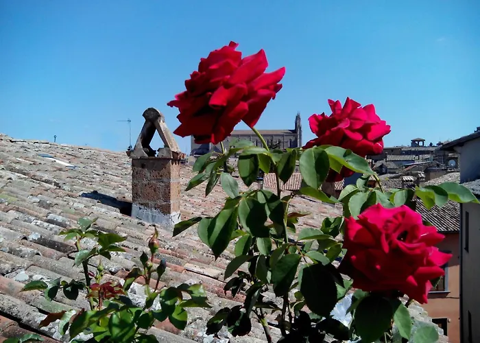 In Terrazza 3* オルヴィエート