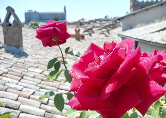 In Terrazza オルヴィエート